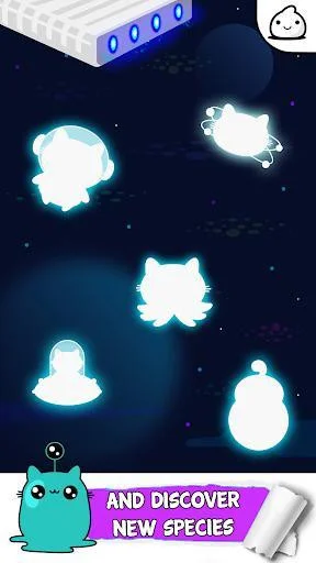 Kitty Cat Evolution Game
