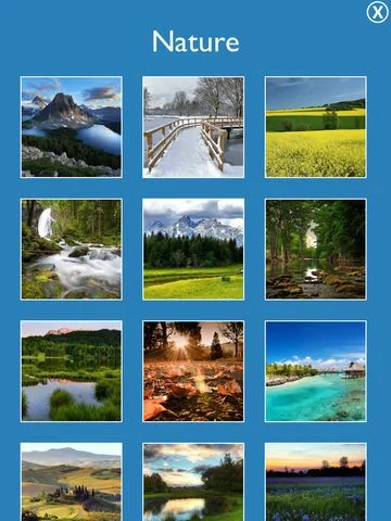 Puzzle All Puzzle All