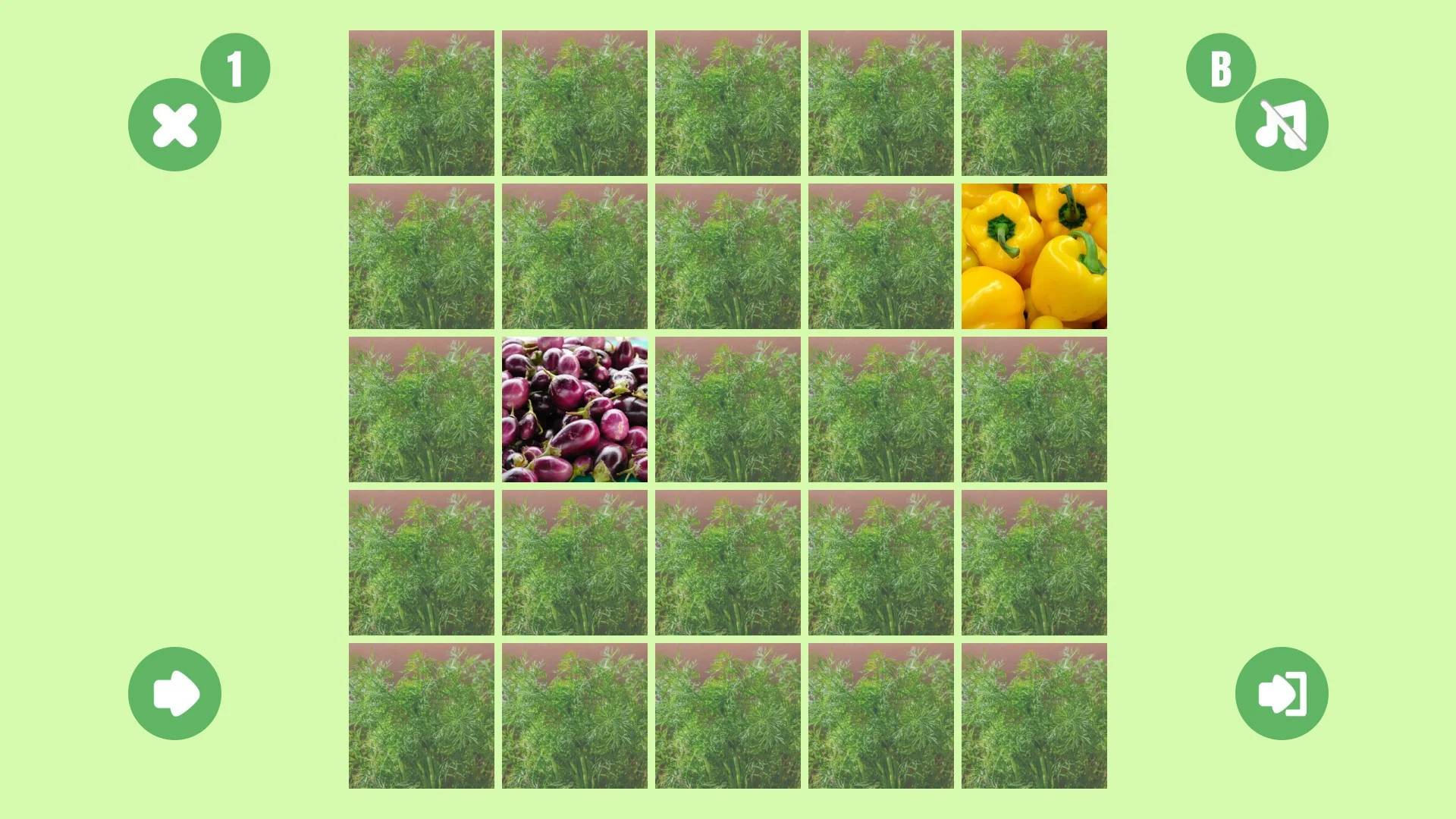 Vegetable couple Vegetable couple
