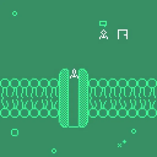 Bacteriophage Training Day (itch) Bacteriophage Training Day (itch)