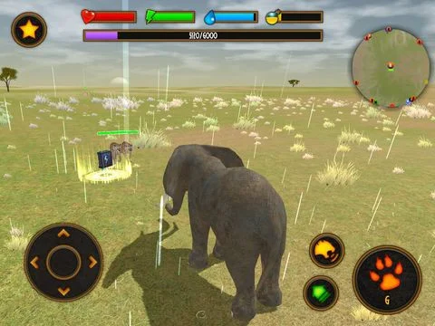 Clan Of Elephant Clan Of Elephant