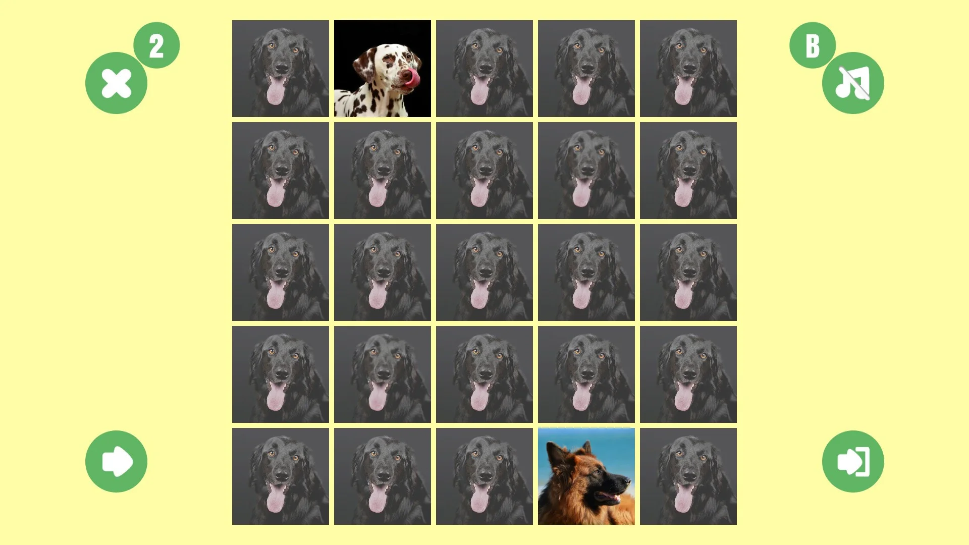 Рецензии Dog couple