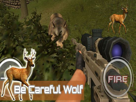Рецензии Huge Forest Hunting