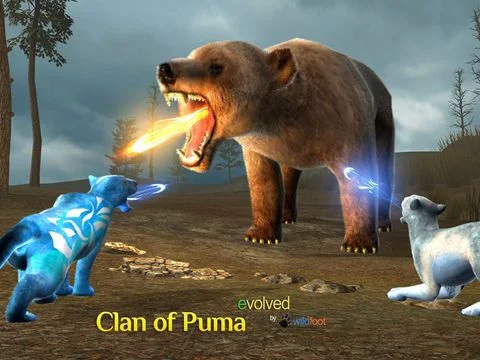 Clan Of Puma Clan Of Puma