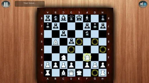 Chess Master 3D PRO Chess Master 3D PRO