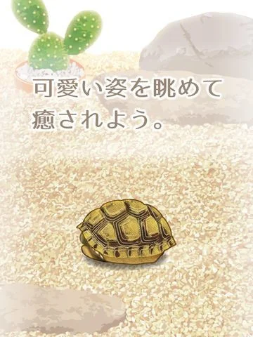 Tortoise Aquarium Free Tortoise Aquarium Free