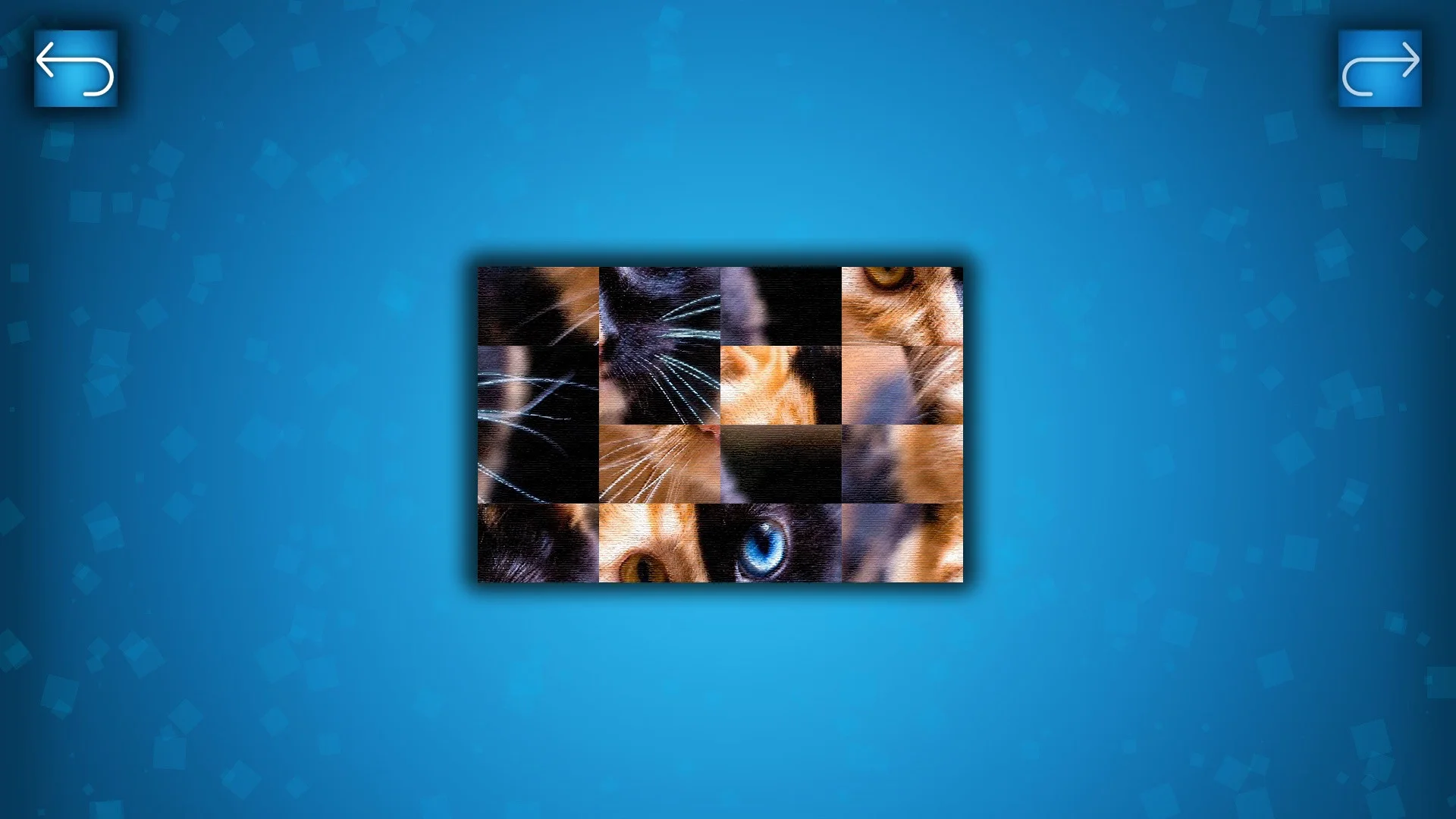 PUZZLE: CATS & DOGS PUZZLE: CATS & DOGS