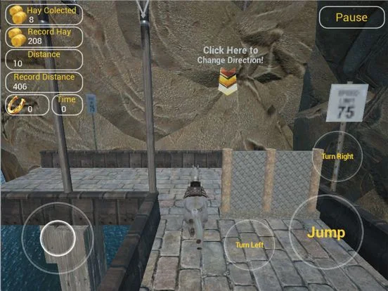 Horse Jump Horse Jump