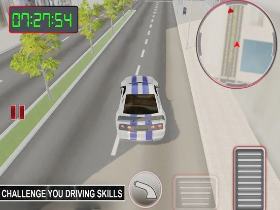 Crime Street Driving Style Crime Street Driving Style