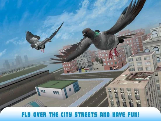 Pigeon Bird Survival Simulator 3D 2 Pigeon Bird Survival Simulator 3D 2