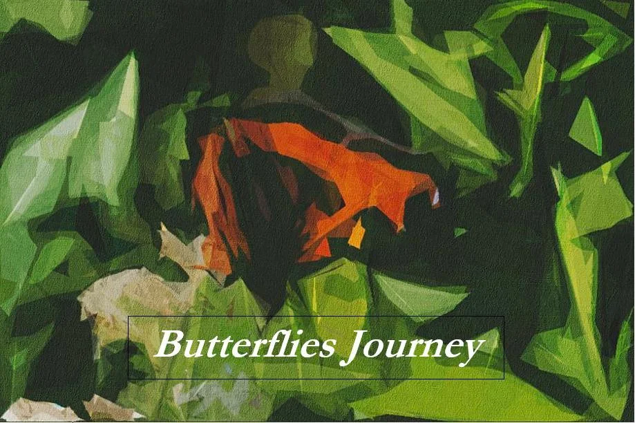 Butterflies Journey (itch) Butterflies Journey (itch)