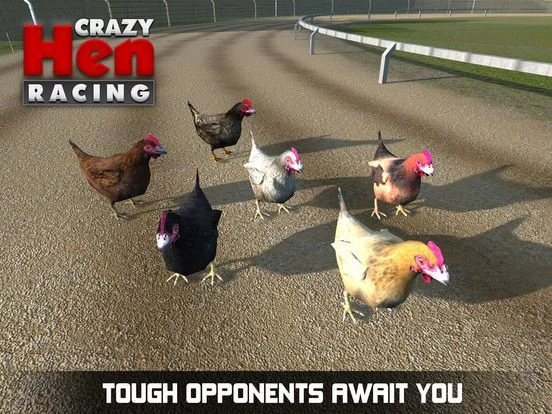 Hen Racing Simulator - Race Free Range Chickens Hen Racing Simulator - Race Free Range Chickens