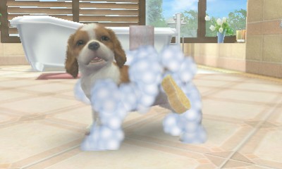 Nintendogs + Cats Nintendogs + Cats
