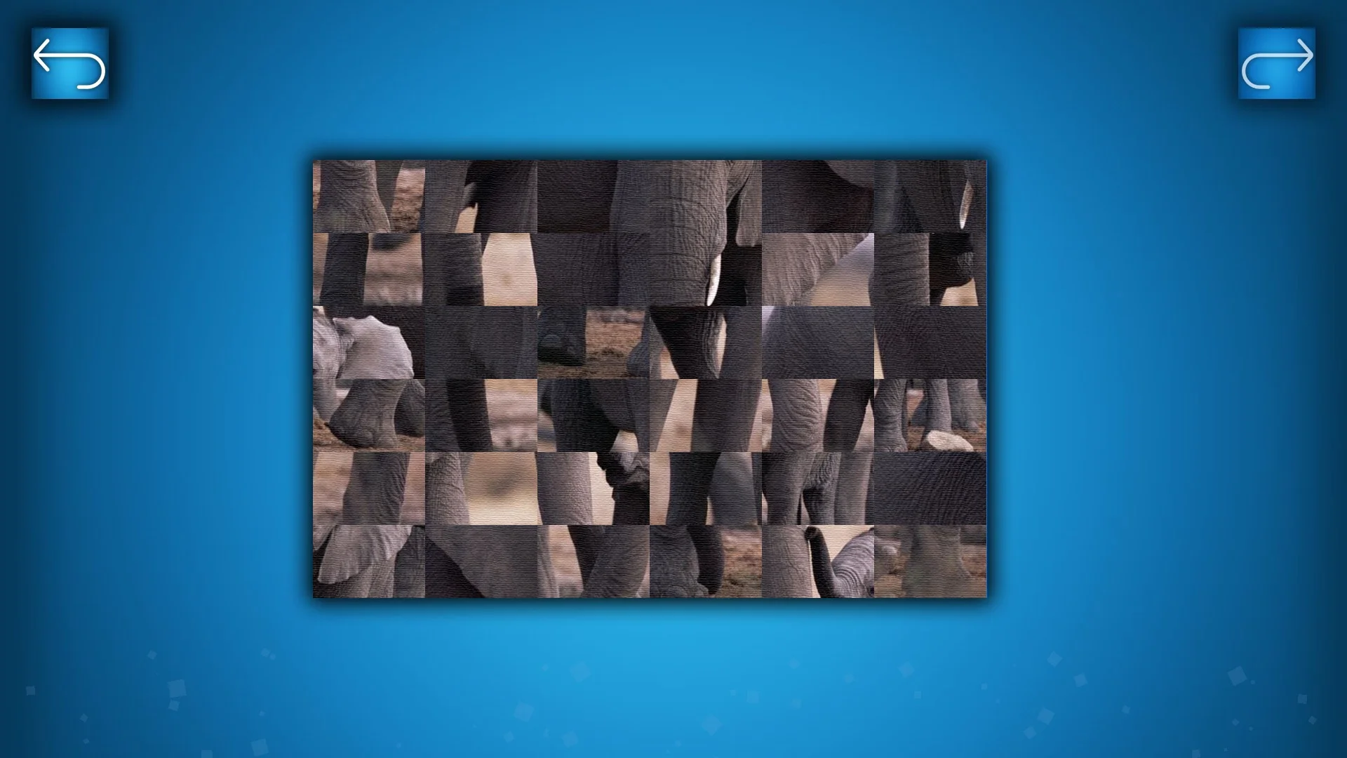 PUZZLE: ANIMALS PUZZLE: ANIMALS