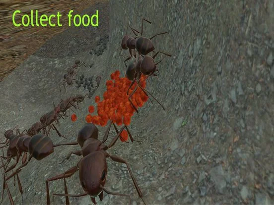 Ant Simulator 3D Ant Simulator 3D