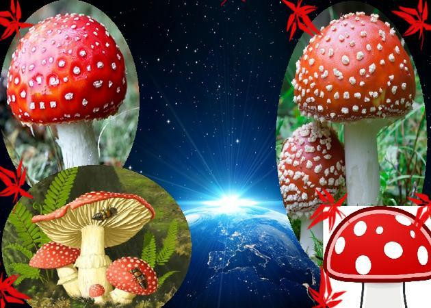 Earth Explorer (itch) Earth Explorer (itch)