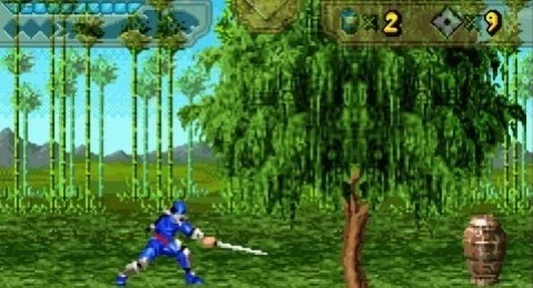 The Revenge of Shinobi (2002)