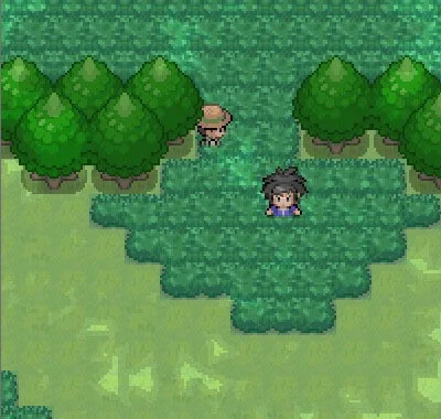 Pokémon Destiny Memory (itch) Pokémon Destiny Memory (itch)