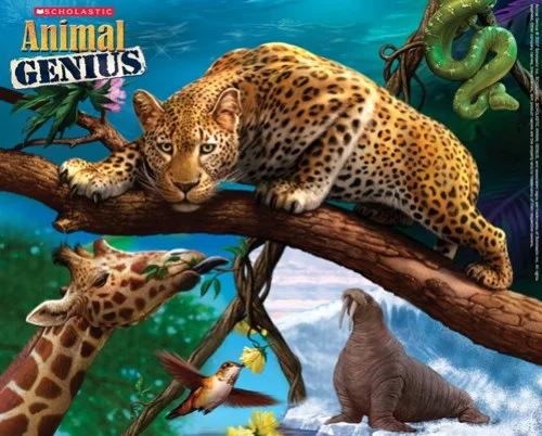 Animal Genius Animal Genius