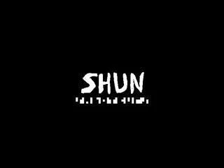 Статьи по Shun (itch)