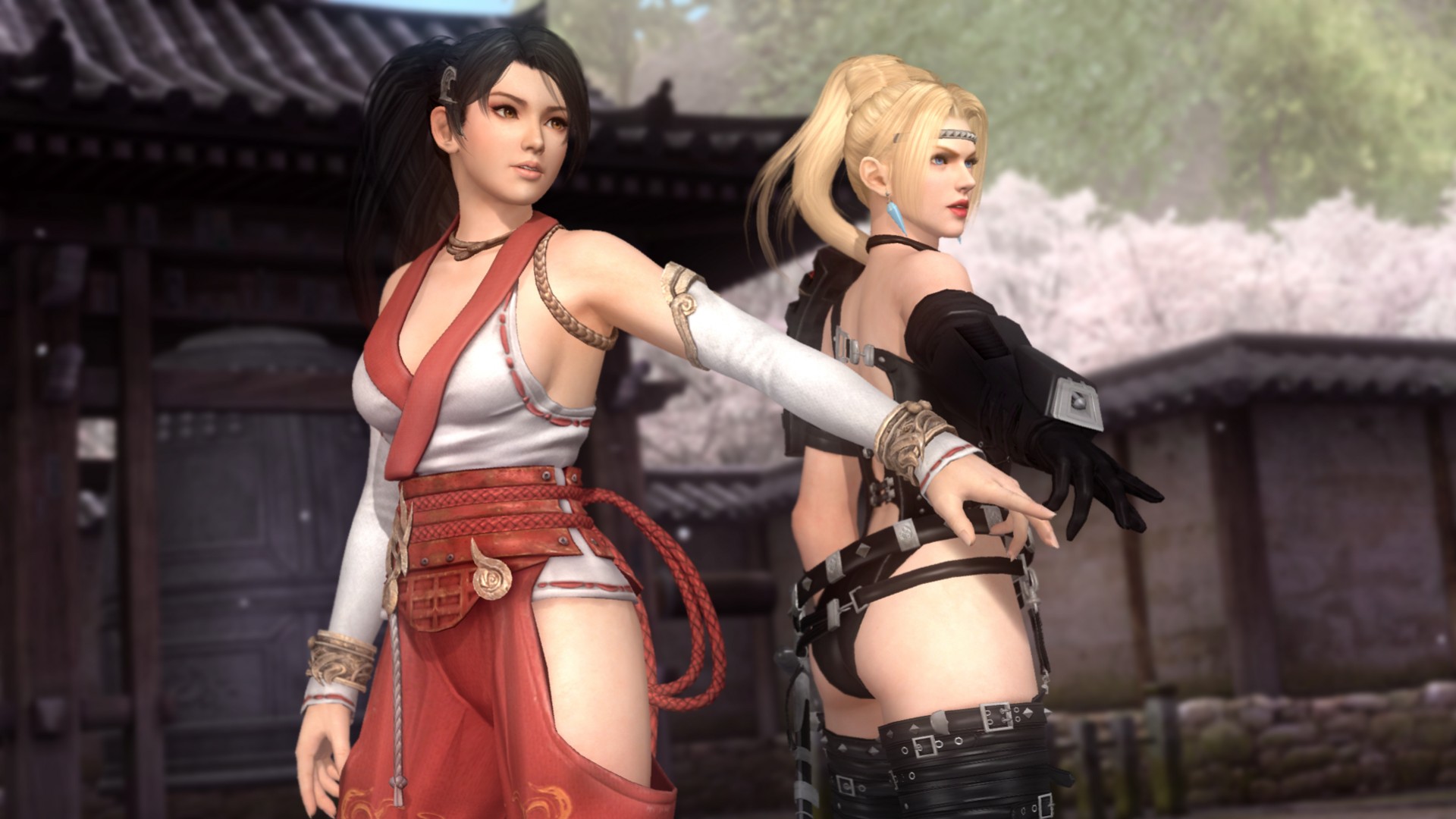 Dead or Alive 5: Last Round будет выглядеть на PC хуже, чем на PS4 и Xbox One - изображение обложка