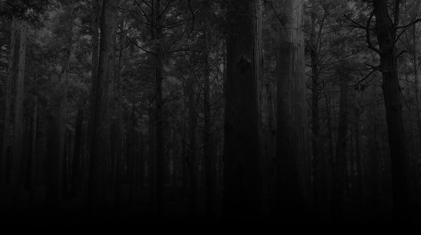 Платформер The Missing автора Deadly Premonition выйдет до конца года - изображение обложка