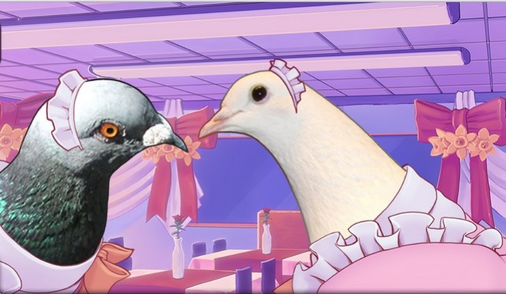 Hatoful Boyfriend добралась до PS4 и PS Vita - изображение обложка