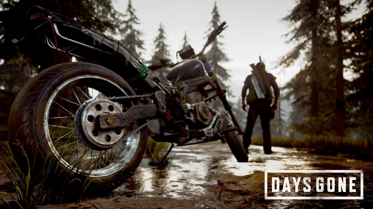 Days gone чертежи