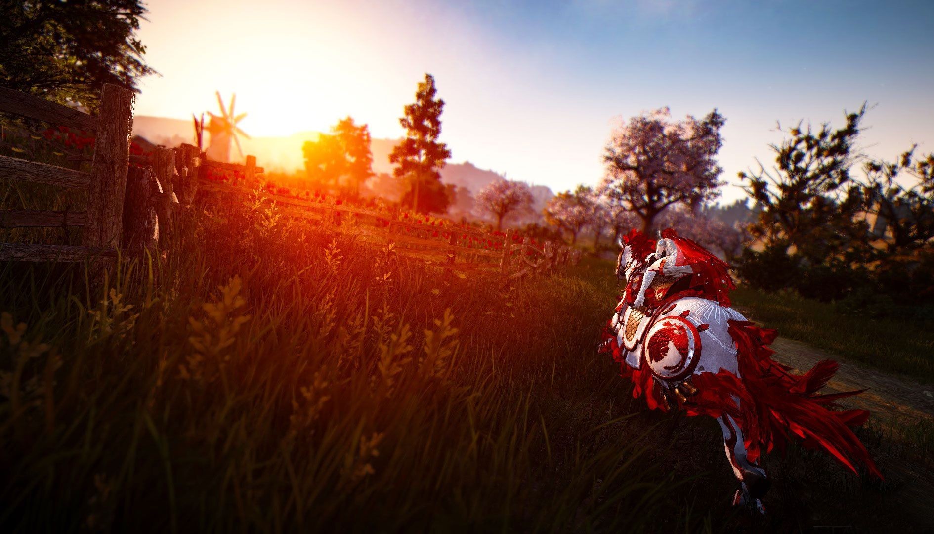 Pearl Abyss выпустила трейлер версии Black Desert для Xbox One X - изображение обложка
