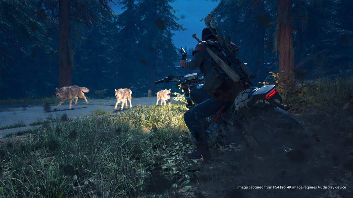 Редактор Eurogamer назвал демоверсию Days Gone нелепой и безжизненной - изображение 3 Редактор Eurogamer назвал демоверсию Days Gone нелепой и безжизненной - фото 3