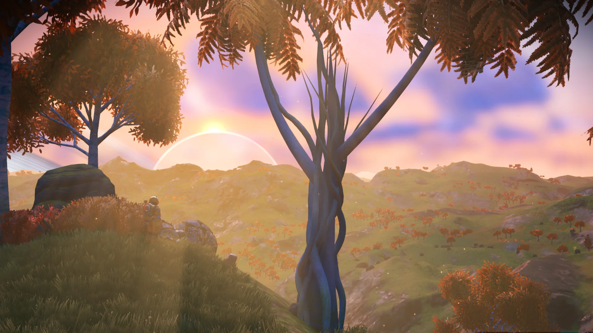 Игроки делятся красотами вселенной No Man's Sky - фото 15