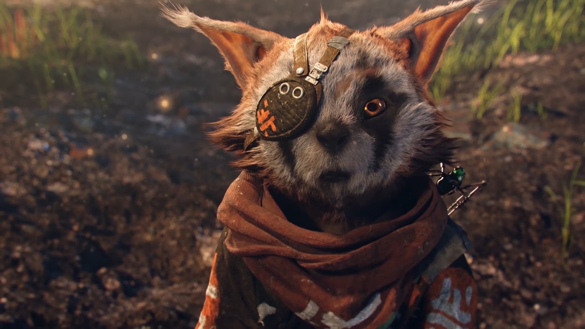 THQ Nordic представила две коллекционки Biomutant - изображение обложка