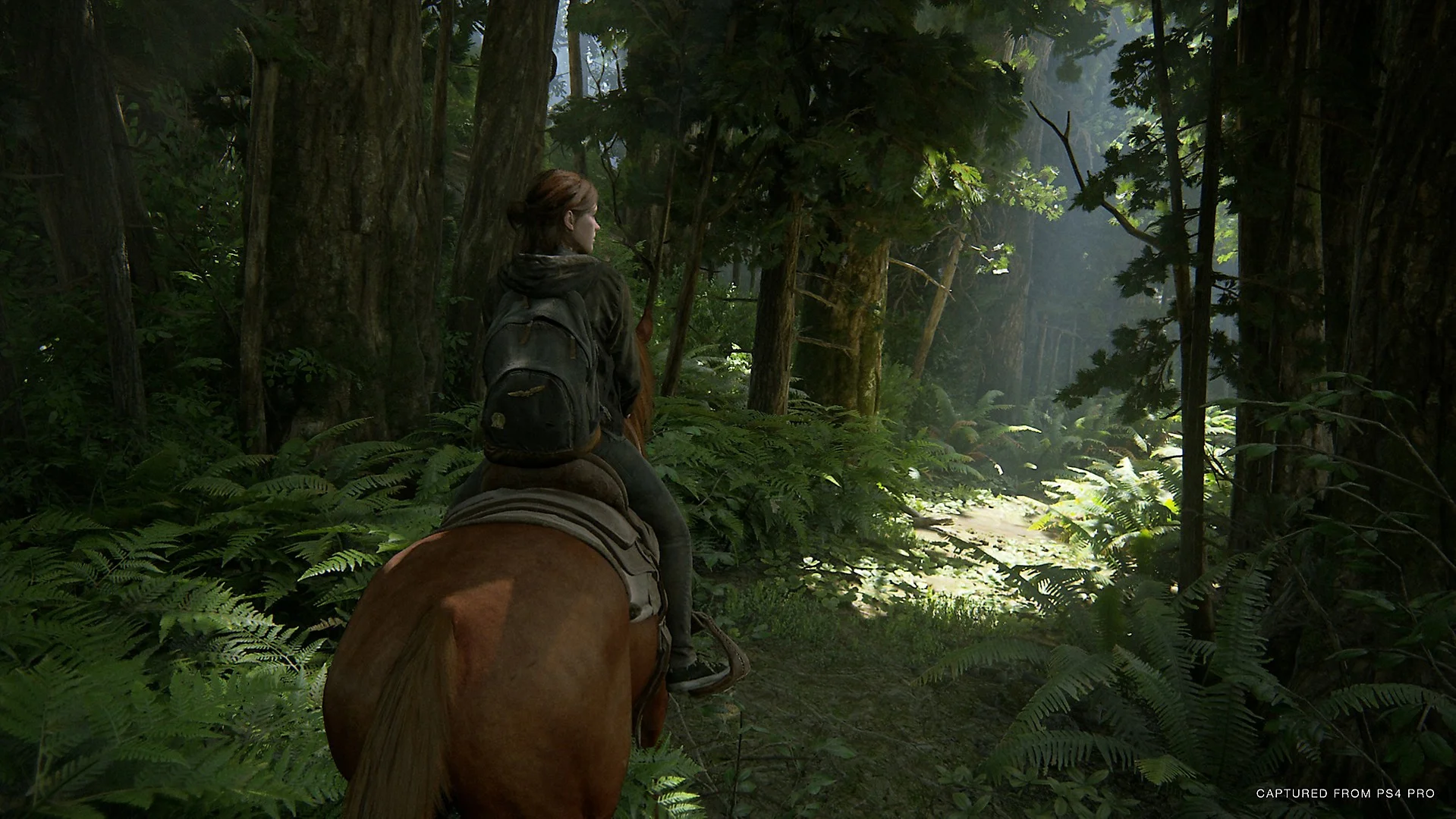 The Last of Us: Part II отложили на неопределённый срок - фото 3