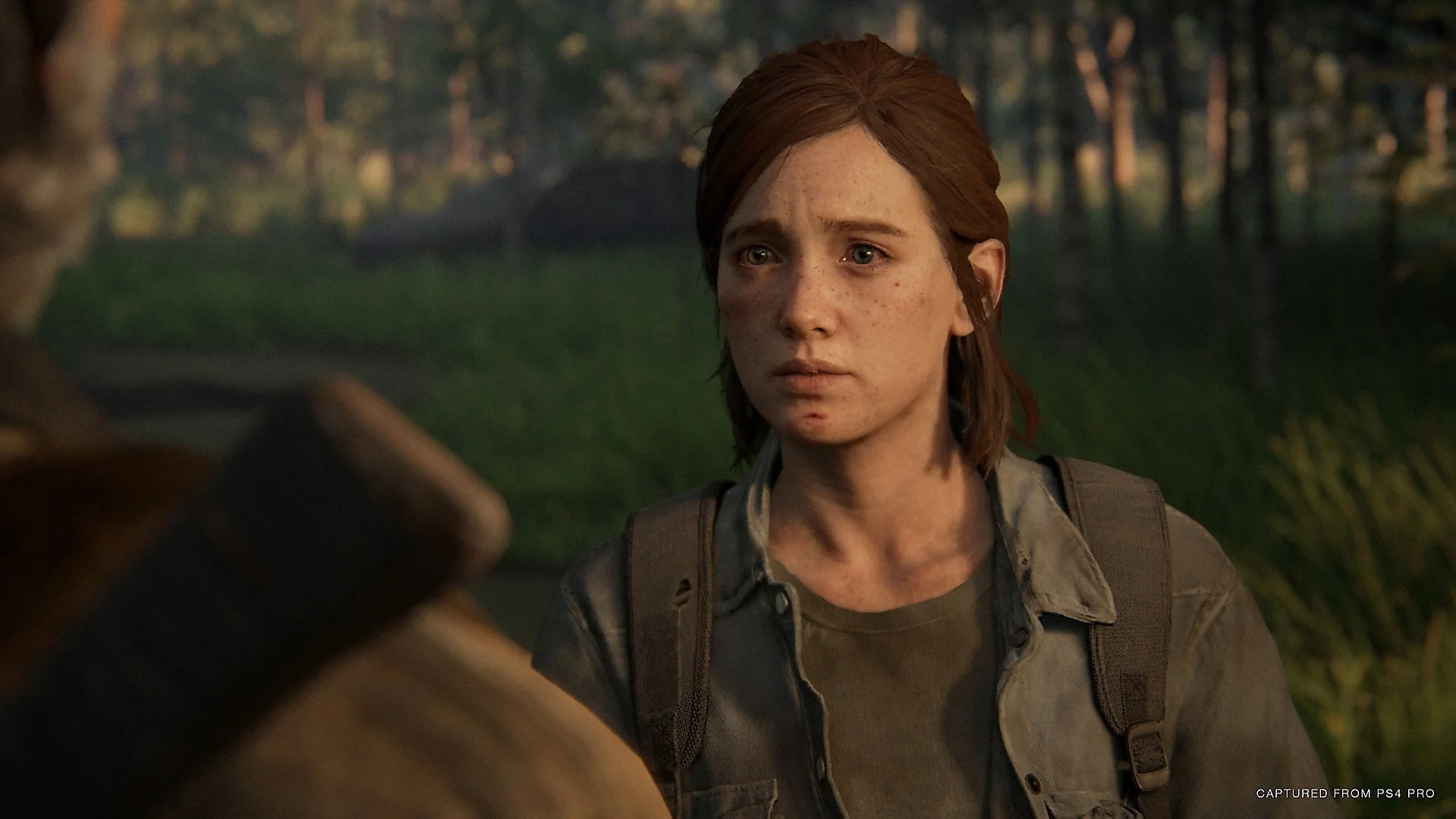 The Last of Us: Part II отложили на неопределённый срок - фото 10