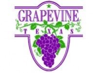 Самый крупный чемпионат - изображение обложка