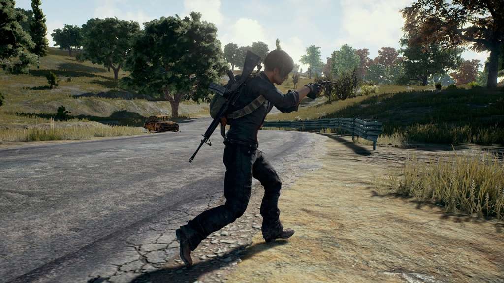 Авторы PlayerUnknown’s Battlegrounds решат проблему с бездействующими игроками - изображение обложка