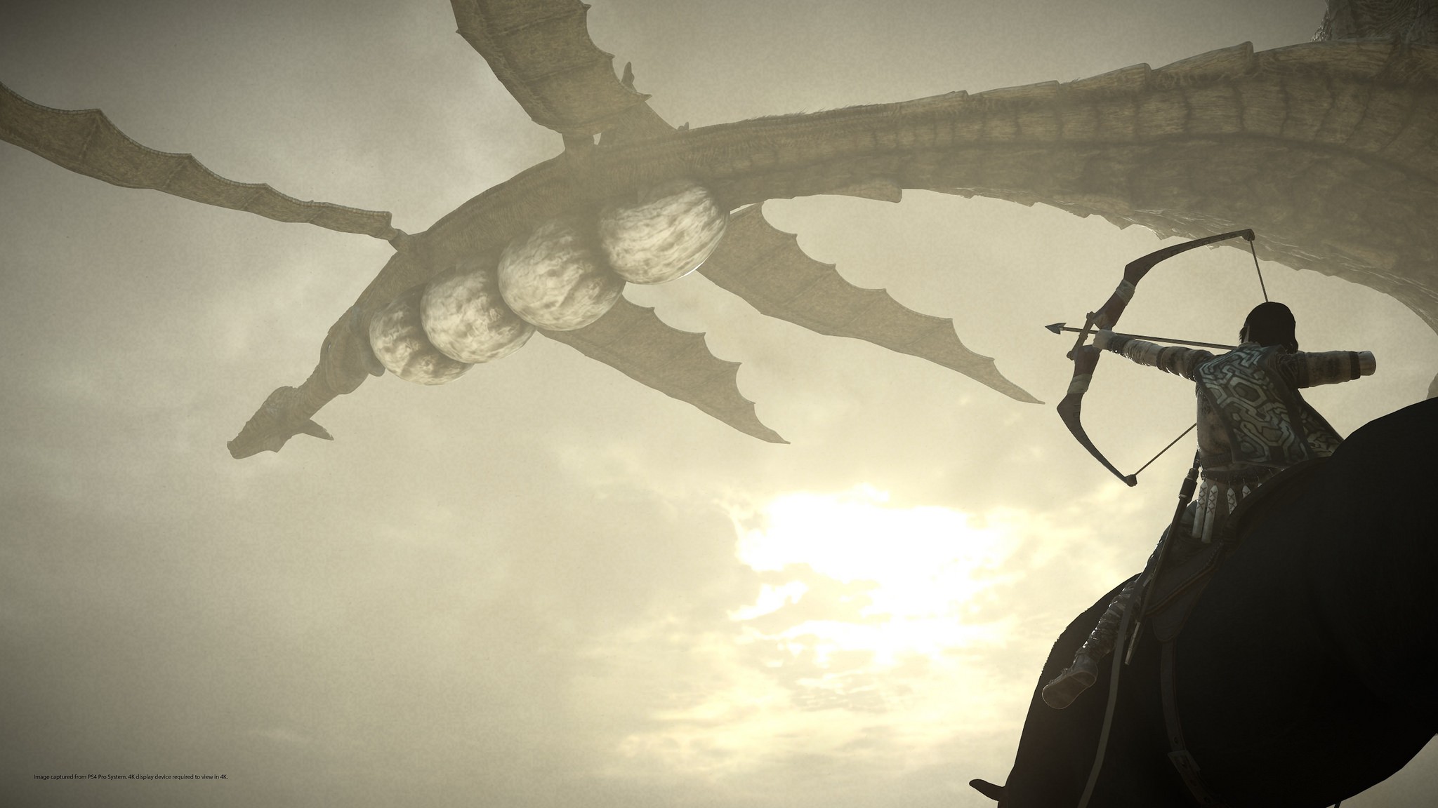 PSX 2017: сравниваем разные издания Shadow of the Colossus - изображение обложка