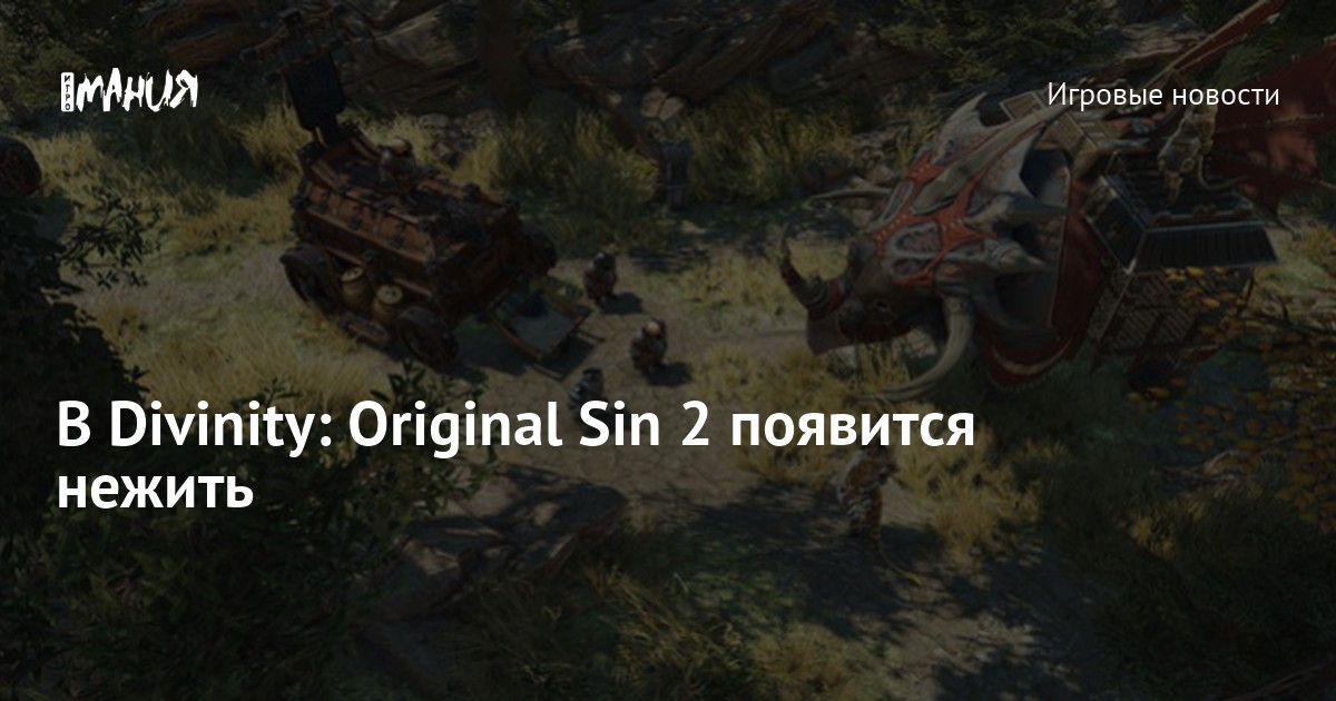 Divinity original sin 2 картина ответственность