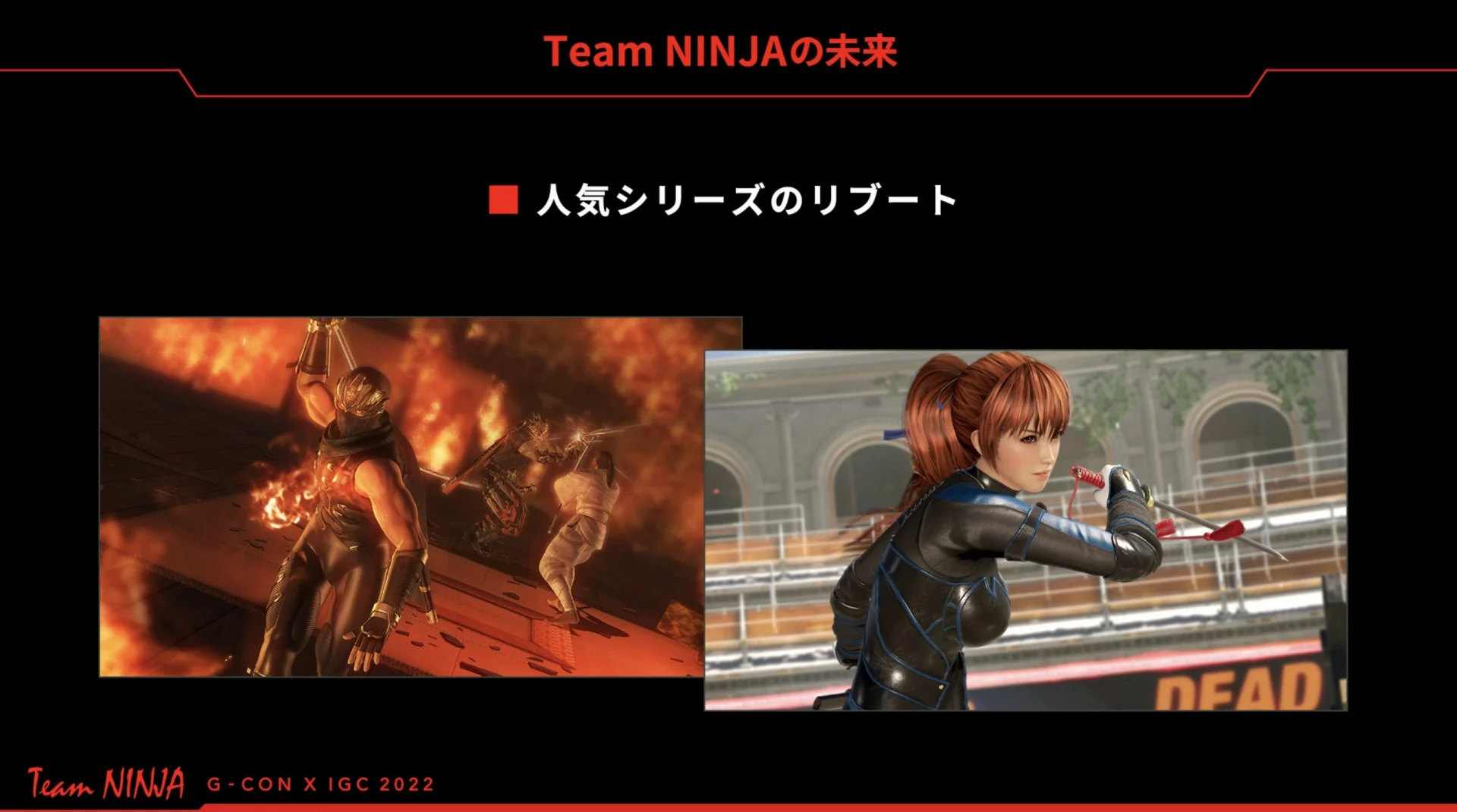Team Ninja планирует перезапустить Ninja Gaiden и Dead or Alive - фото 1