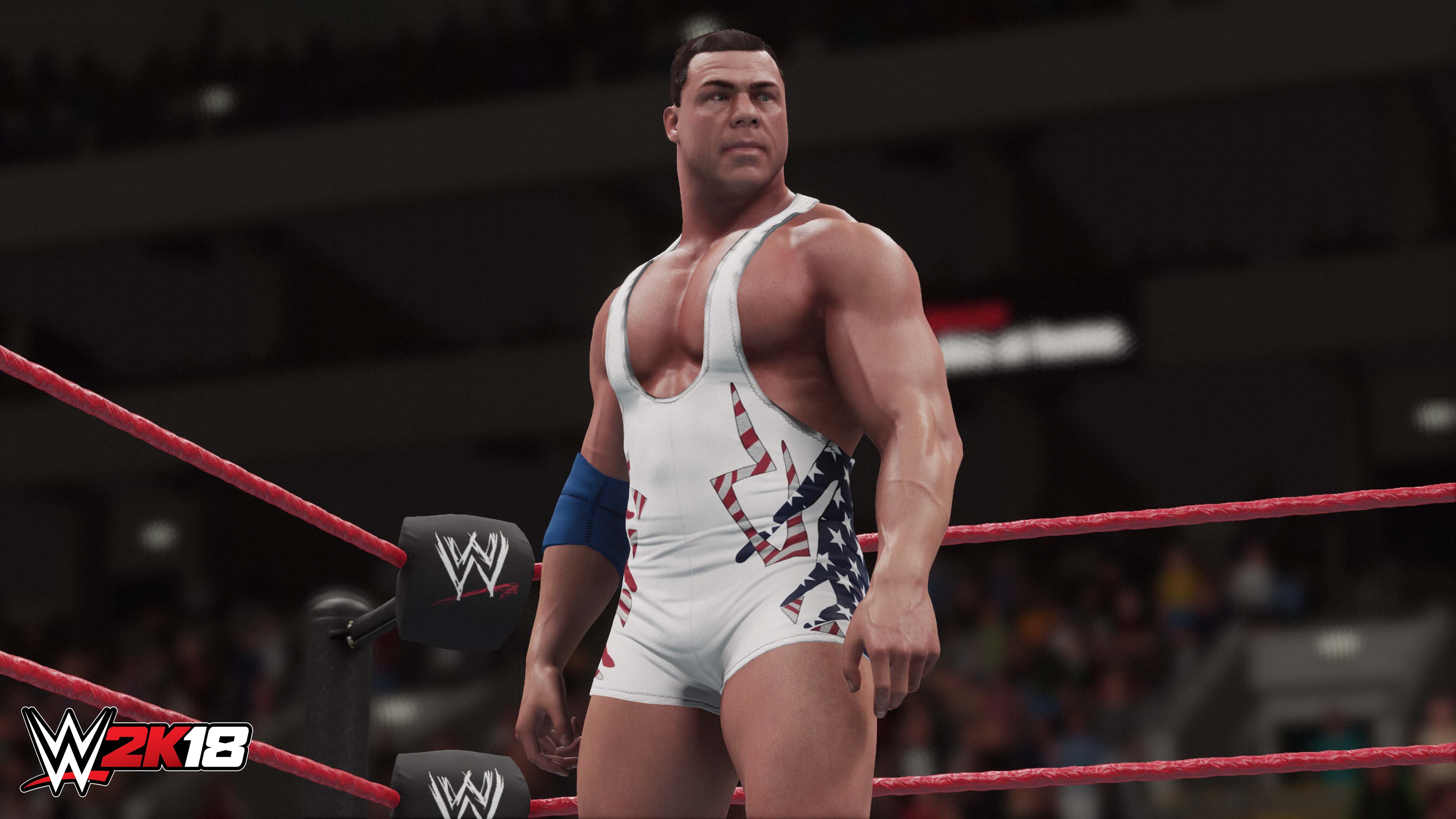 WWE 2K18 выйдет на PC одновременно с консольным релизом - изображение обложка