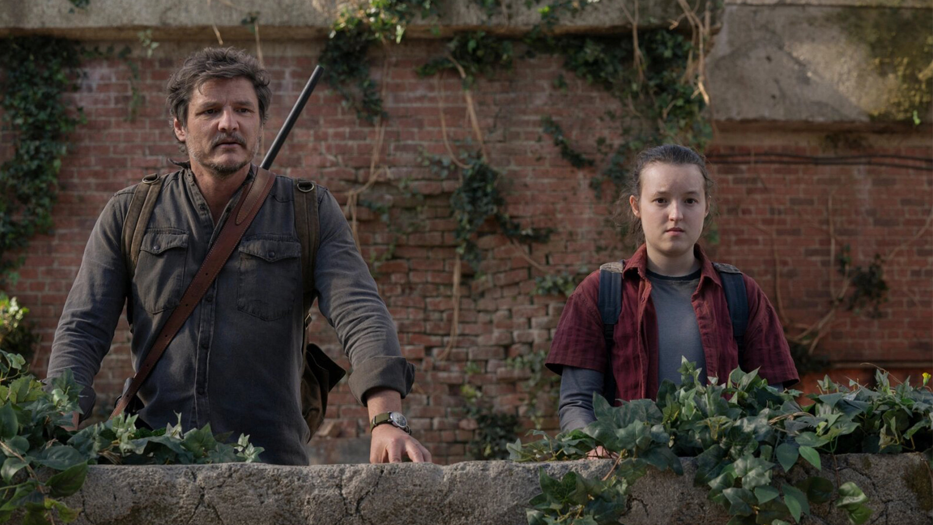 Появилось сравнение финального эпизода сериала The Last of Us с игрой - изображение обложка