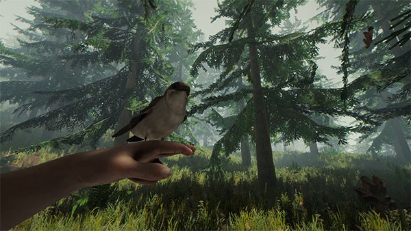 The Forest покидает ранний доступ - изображение обложка