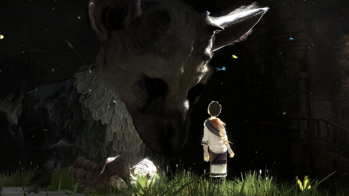 The Last Guardian, вероятно, адаптируют для PlayStation 4 - изображение обложка
