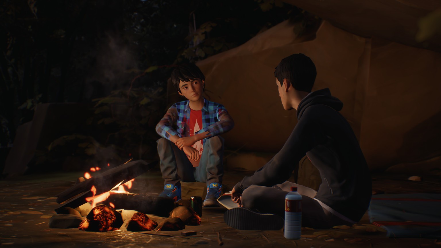 Продолжение Life is Strange 2 следует в январе - изображение обложка