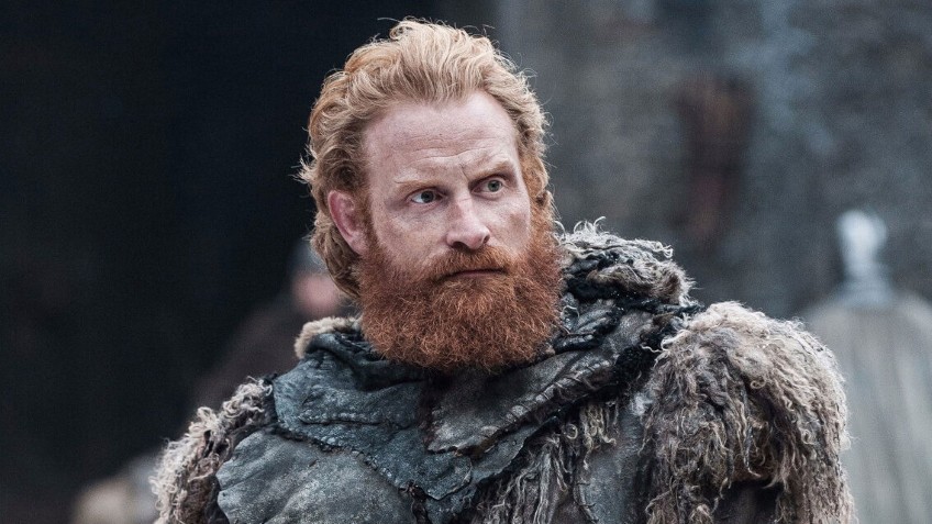 СМИ: Нивеллена во 2 сезоне «Ведьмака» сыграет звезда «Игры престолов» - изображение обложка