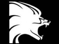 Чего хочет Lionhead - изображение обложка
