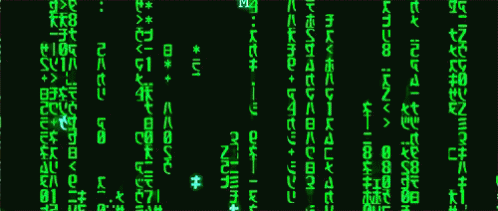 В зелёном коде «Матрицы» зашифрованы рецепты суши - фото 1