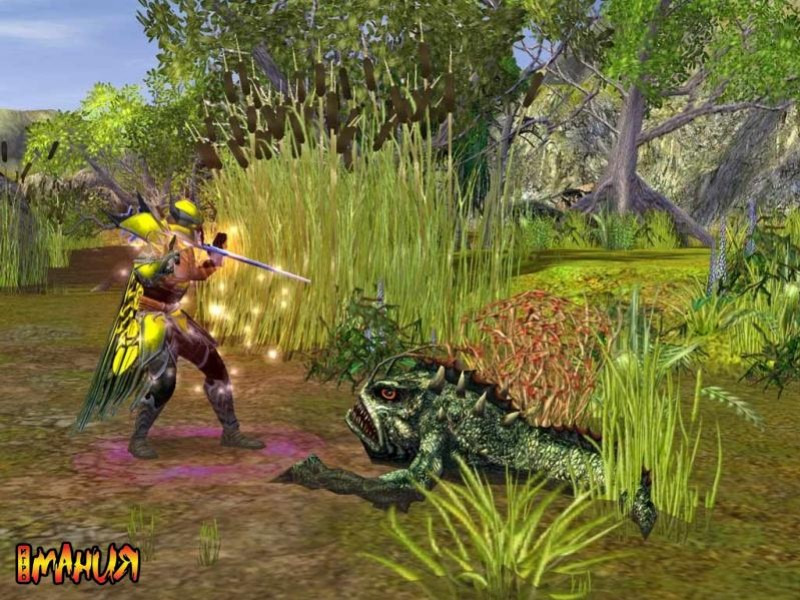 Shadow of the Phoenix в печати - изображение обложка