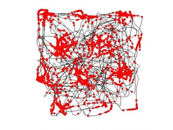 Видеоигра помогла ученым найти «картографические нейроны» - фото 1
