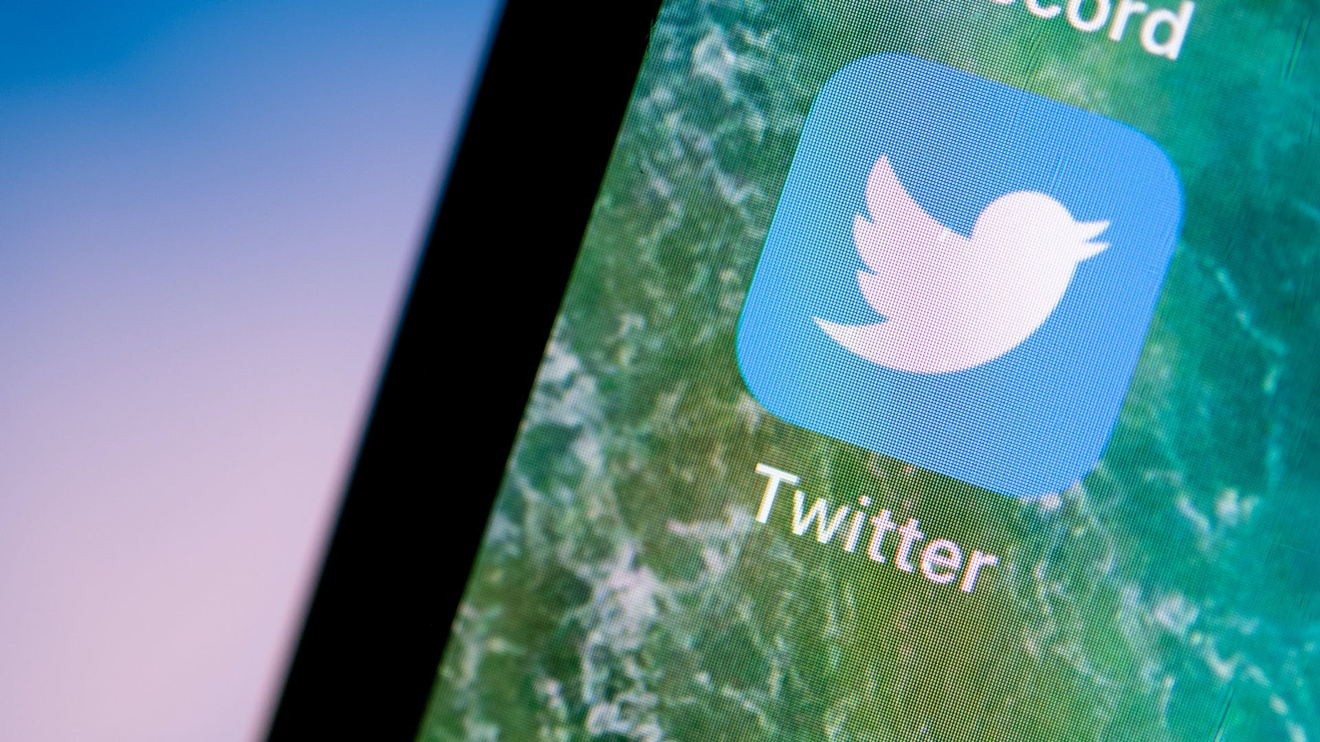 Роскомнадзор недоволен темпом удаления материалов в Twitter - изображение обложка